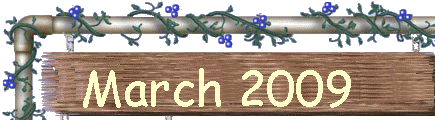March 2009