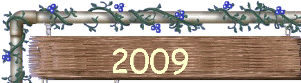 2009